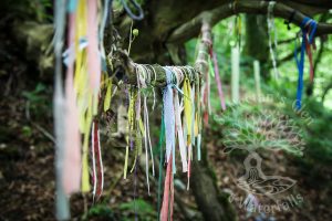 Offerings